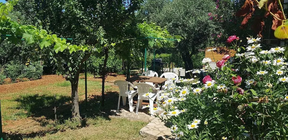 Appartamenti Clara Poreč 0*,